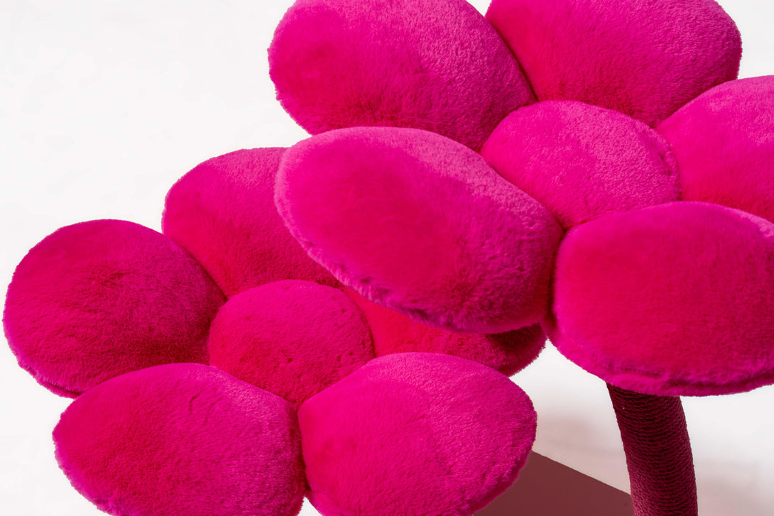 Cats playing on the stylish Fuchsia Floral Cat Tree
