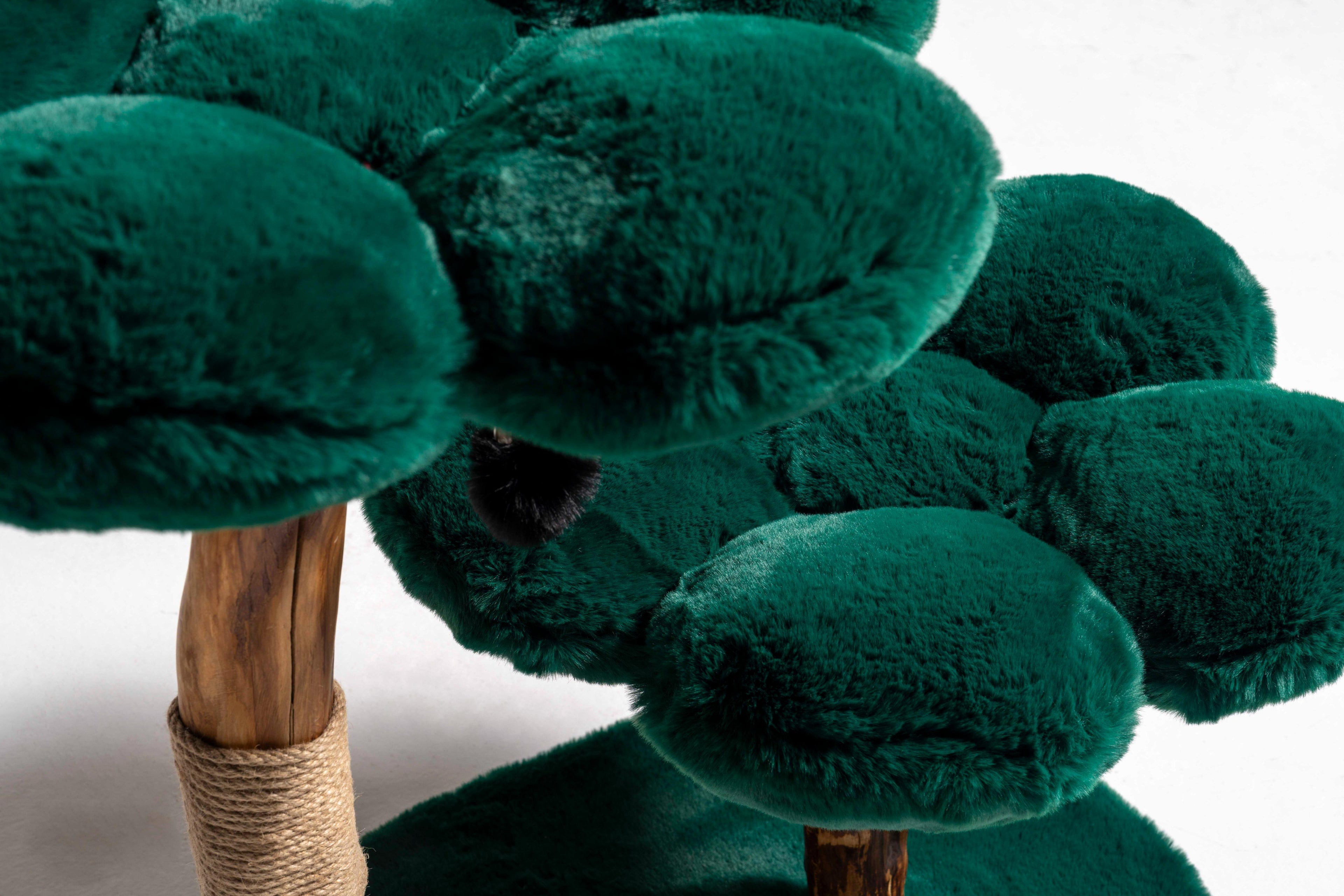 Furry Nest