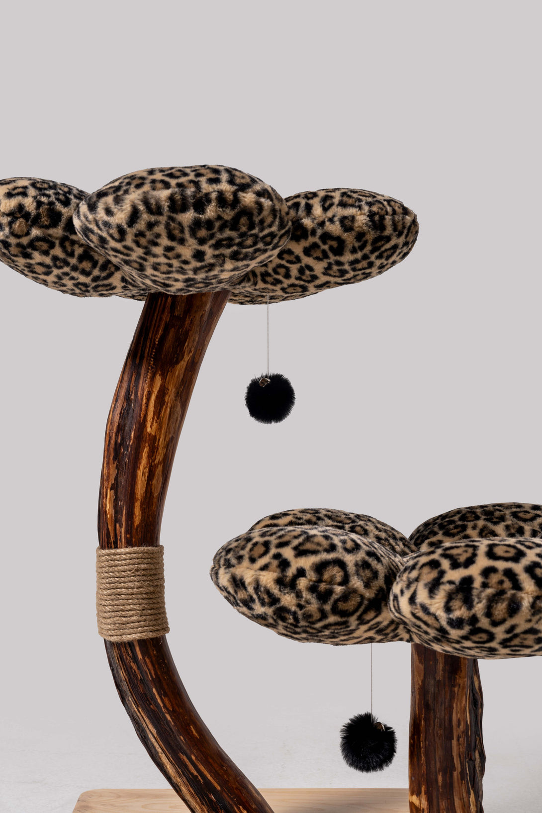 Integrated cat scratching posts on the Wild Mini Cat Tree
