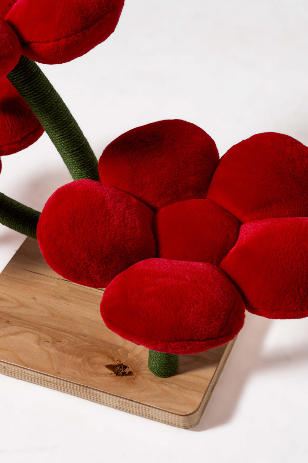Lush Luxe