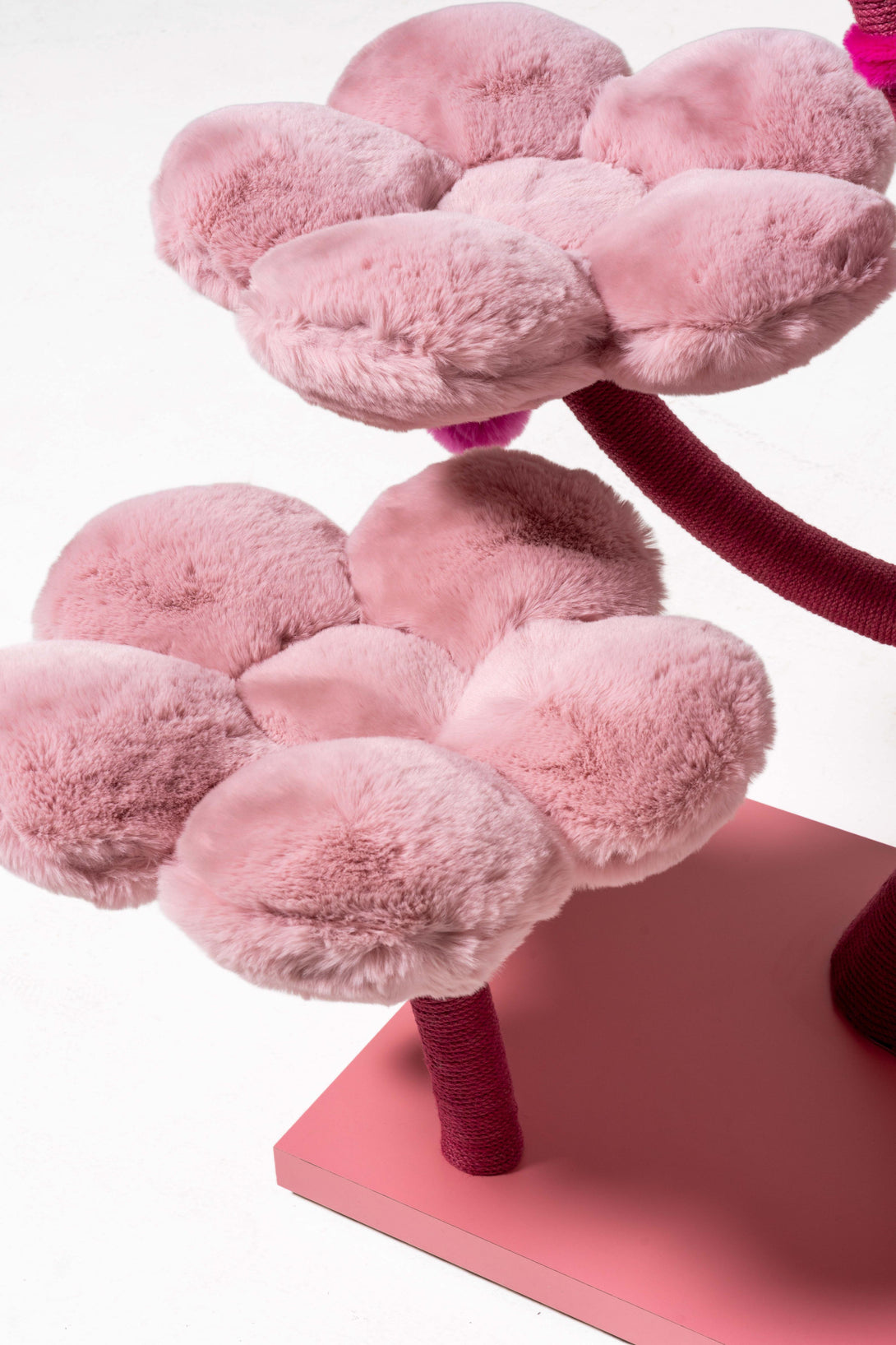 Large cats relaxing on the plush modern cat bed atop the tree

