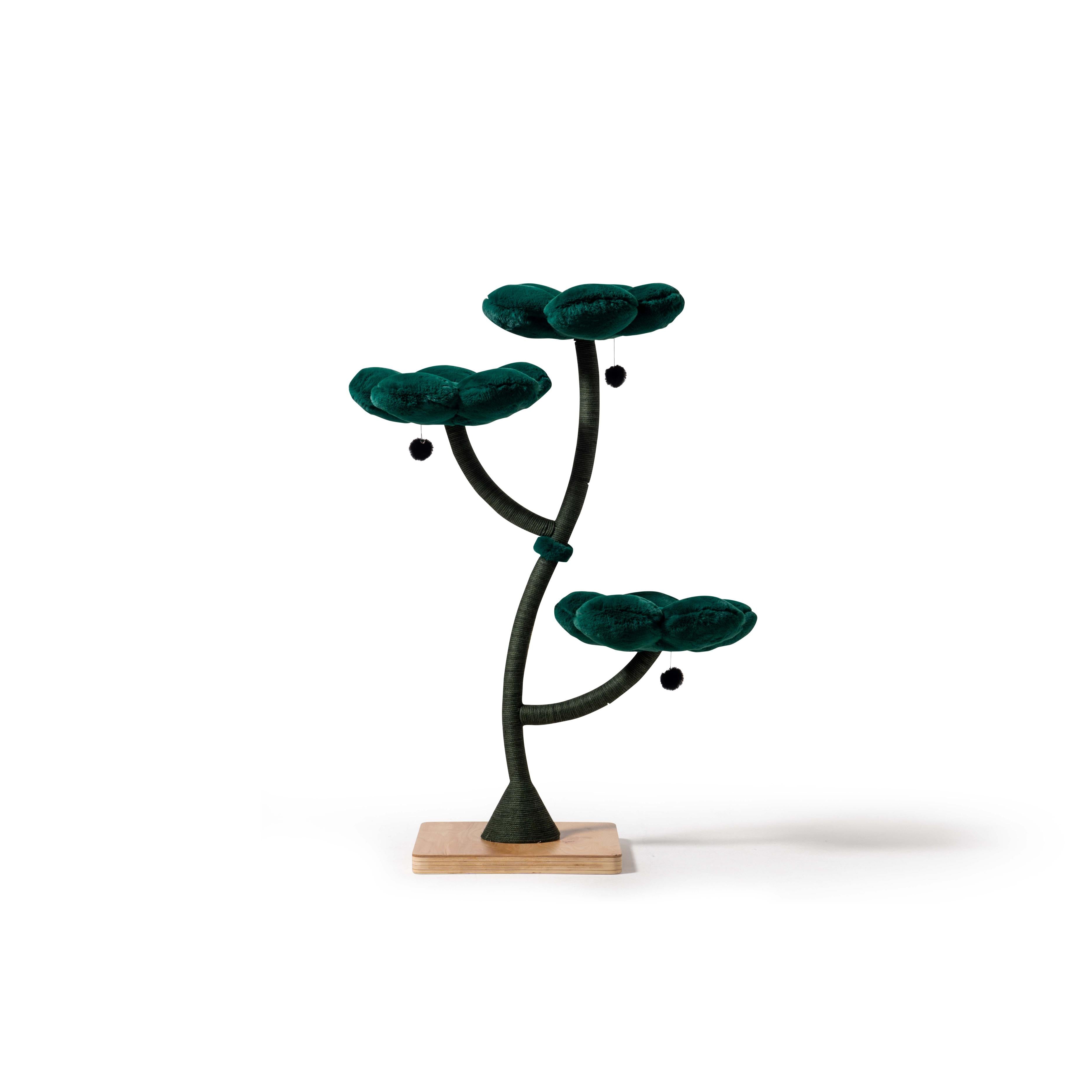 Arbor Luxe