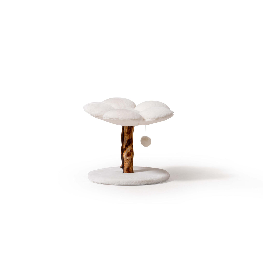 MARUVIS White Daisy Cat Perch showcasing stylish floral design
