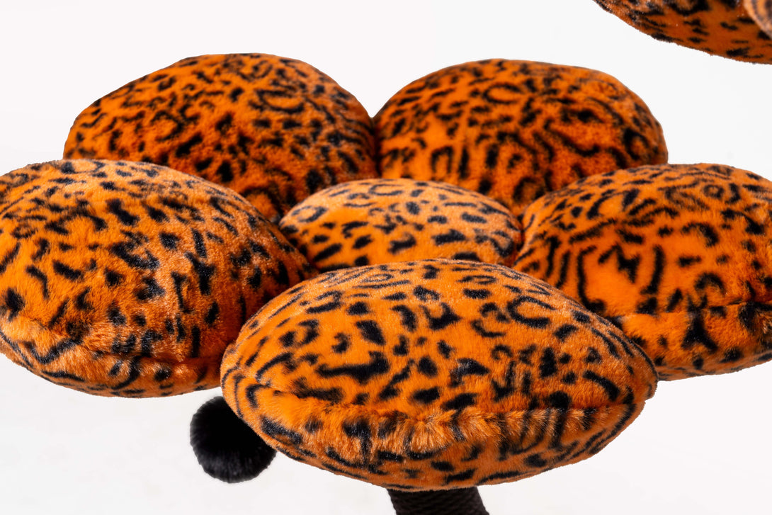 Playful cats enjoying the luxurious features of the Leopard Blossom Cat Tree
