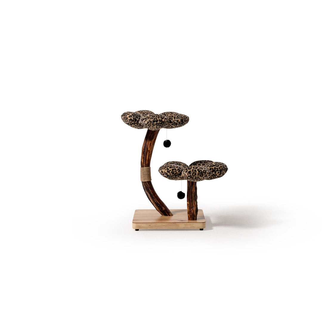 Plush modern cat bed atop the leopard print climber
