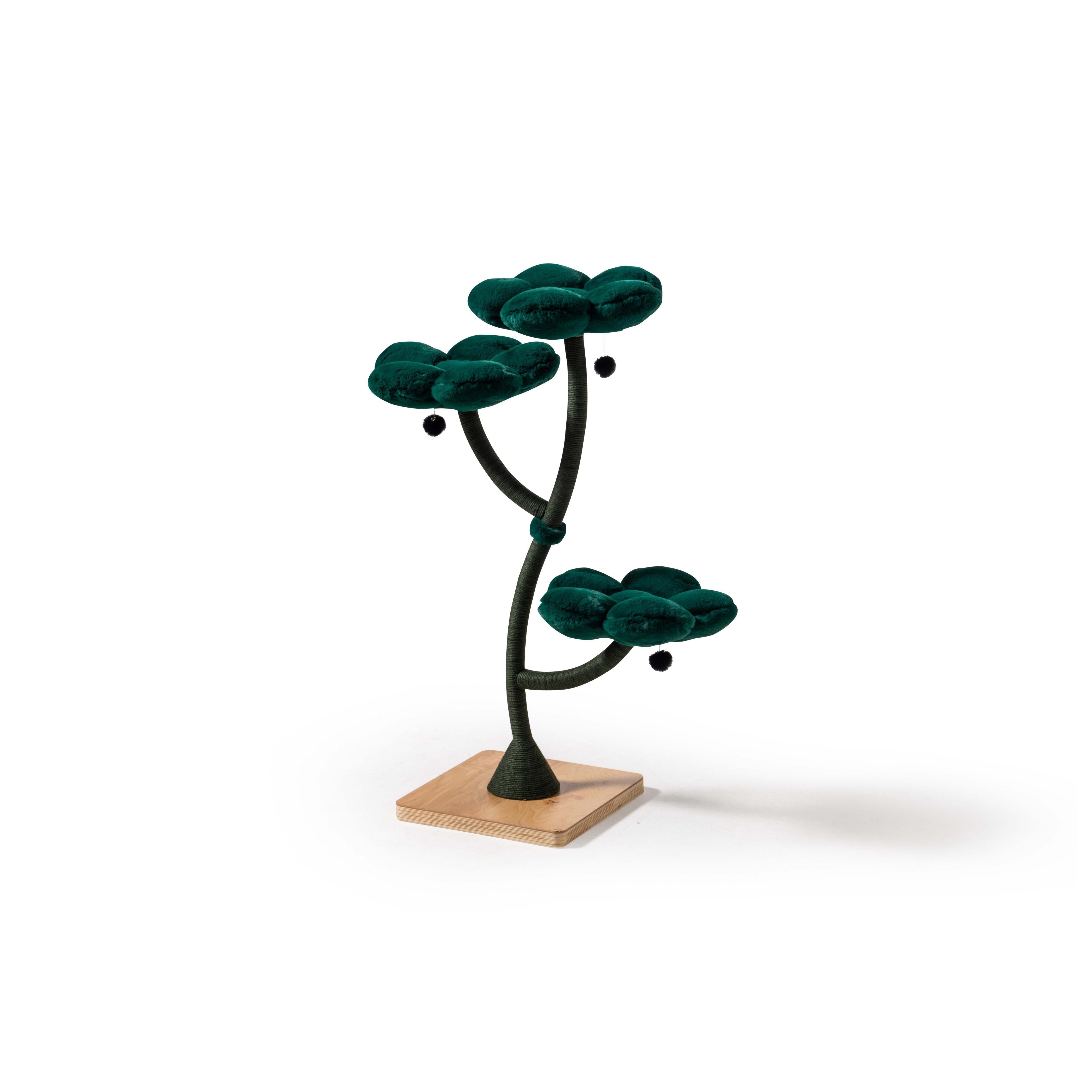 Arbor Luxe