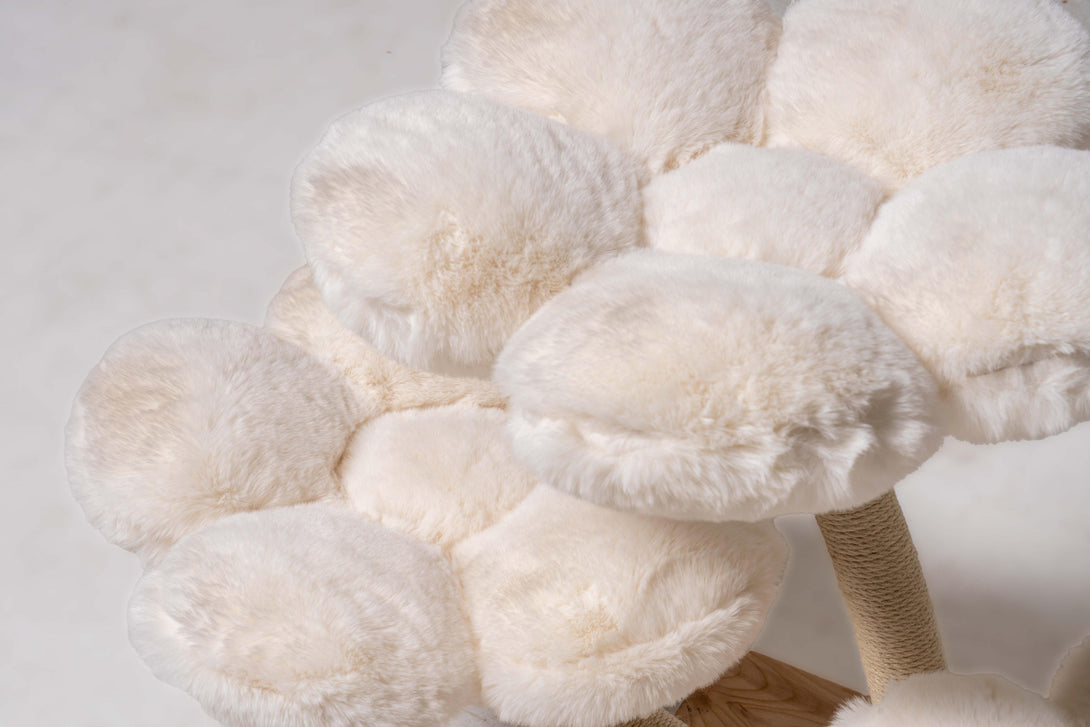 Stylish ivory color enhancing the luxury cat furniture
